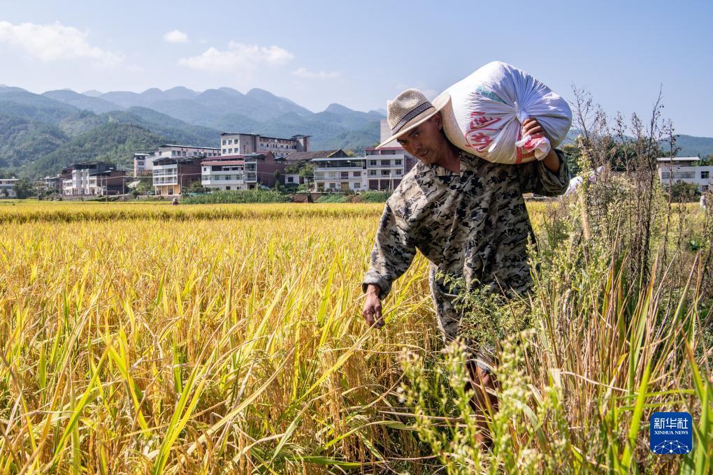 波音游戏网址
